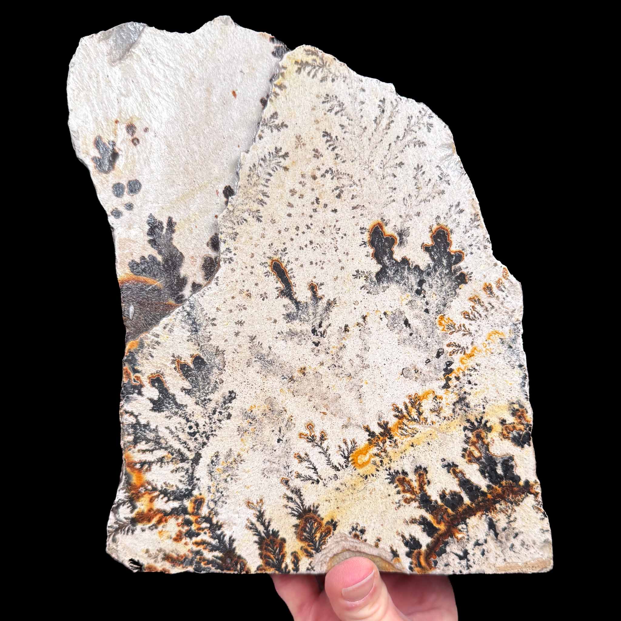Reverse side of Dendrite specimen