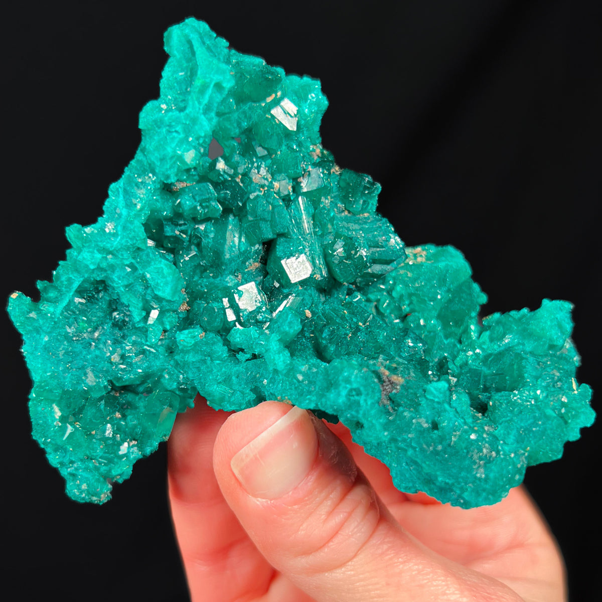 Large Crystal Cluster of Dioptase from the Democratic Republic of Congo