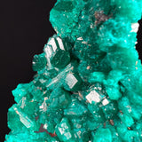 Close Up of Dioptase Crystals