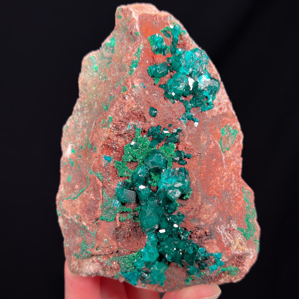 Dioptase with Malachite Mineral Specimen from the DRC