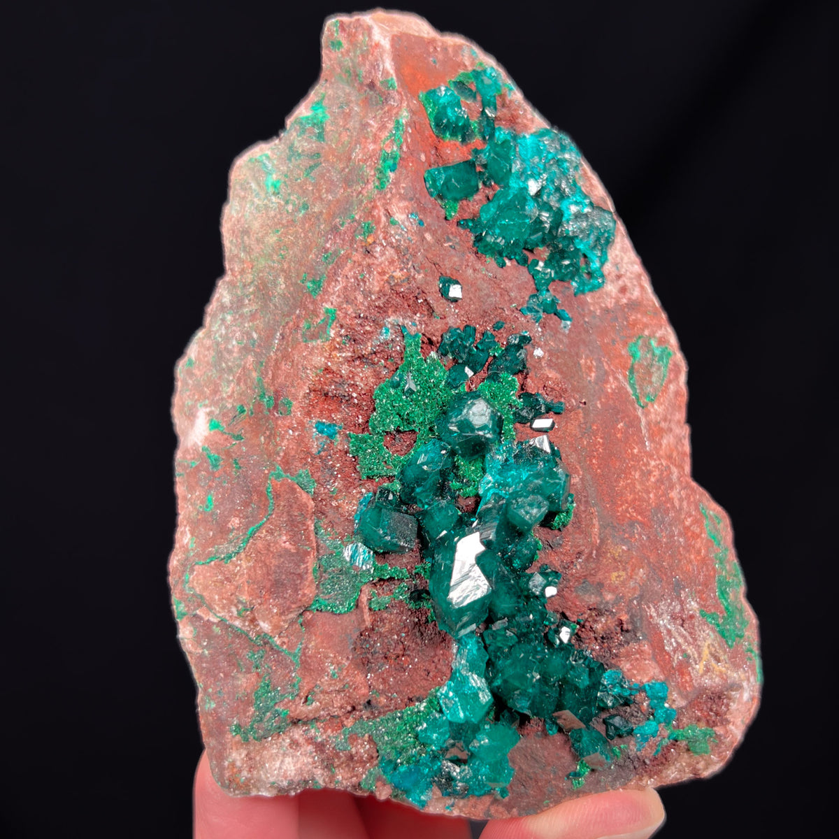Dioptase with Malachite Large Mineral Specimen