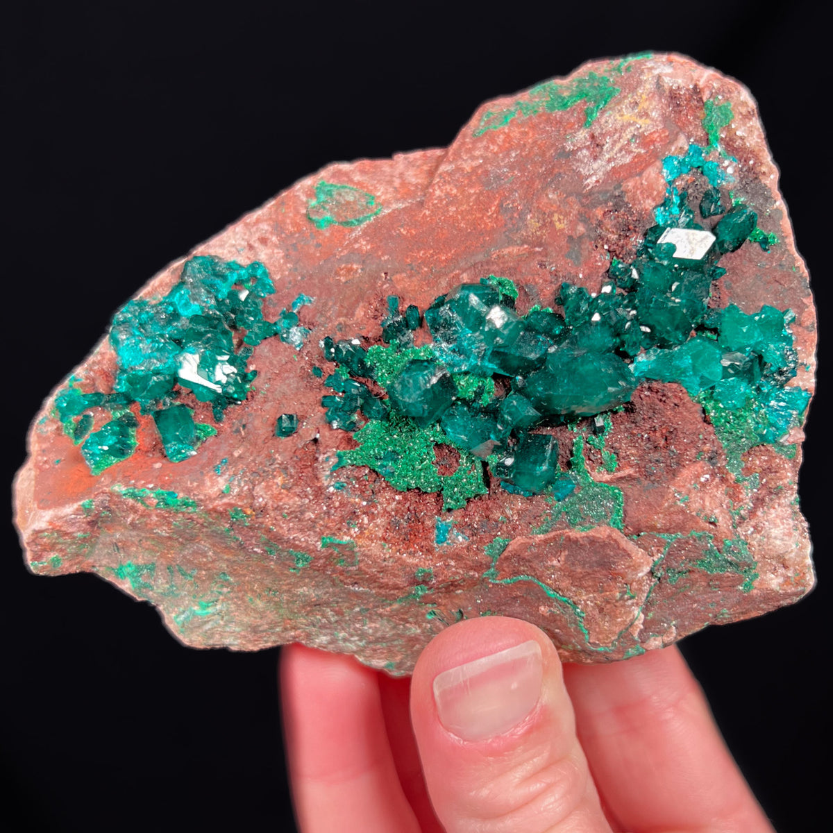 Large Mineral Specimen of Dioptase with Malachite from the Congo