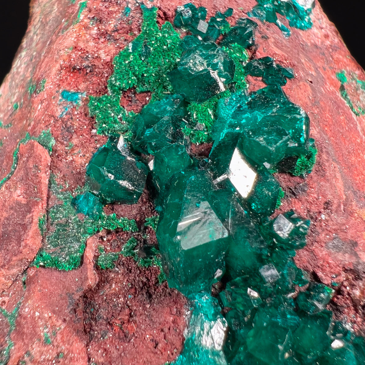 Mineral Specimen Close Up of Dioptase with Malachite