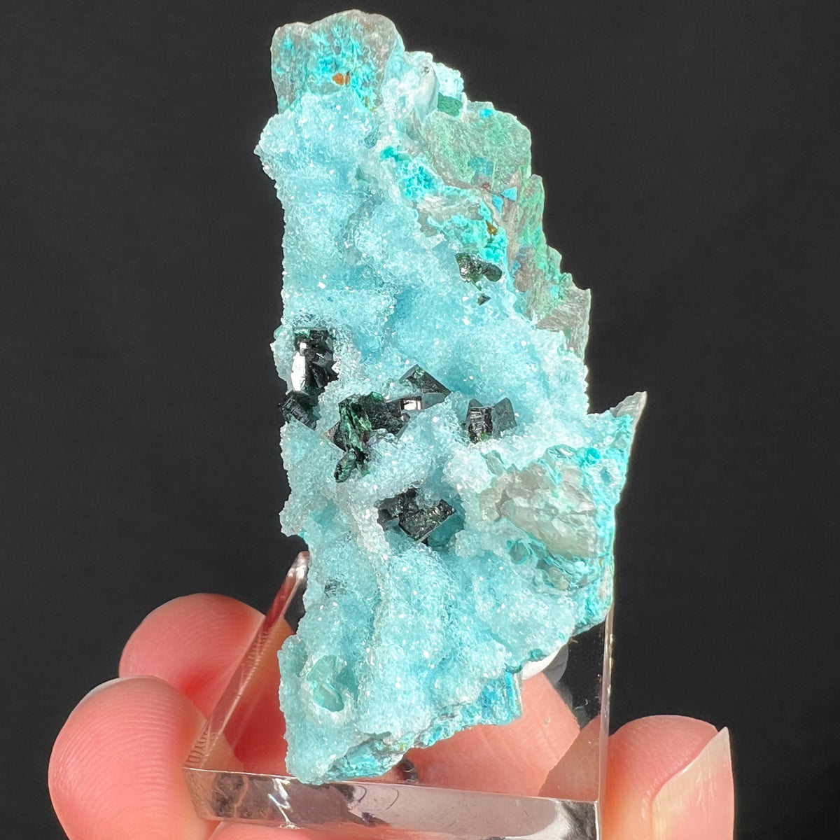 Drusy Quartz on Chrysocolla with Malachite Crystals