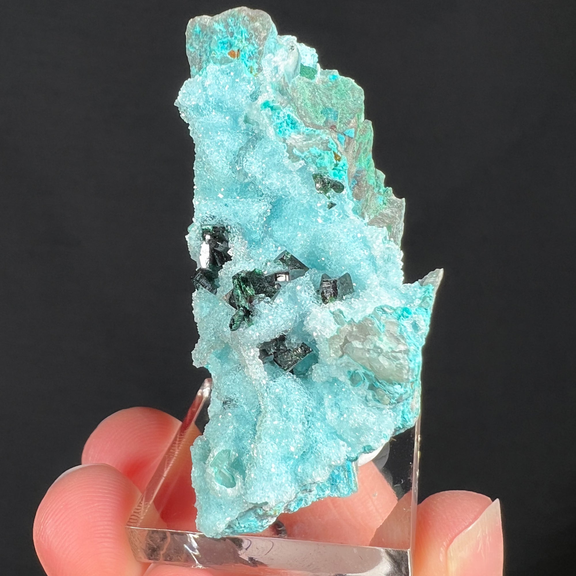 Drusy Quartz on Chrysocolla with Malachite Crystals