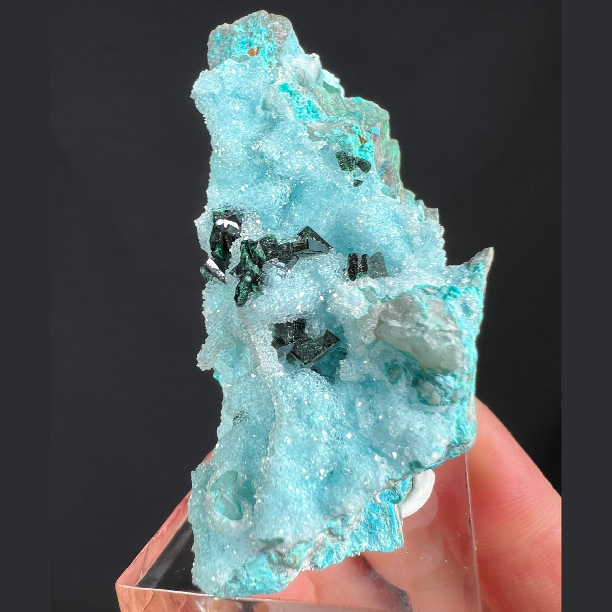 Drusy Quartz on Chrysocolla with Malachite Mineral Specimen