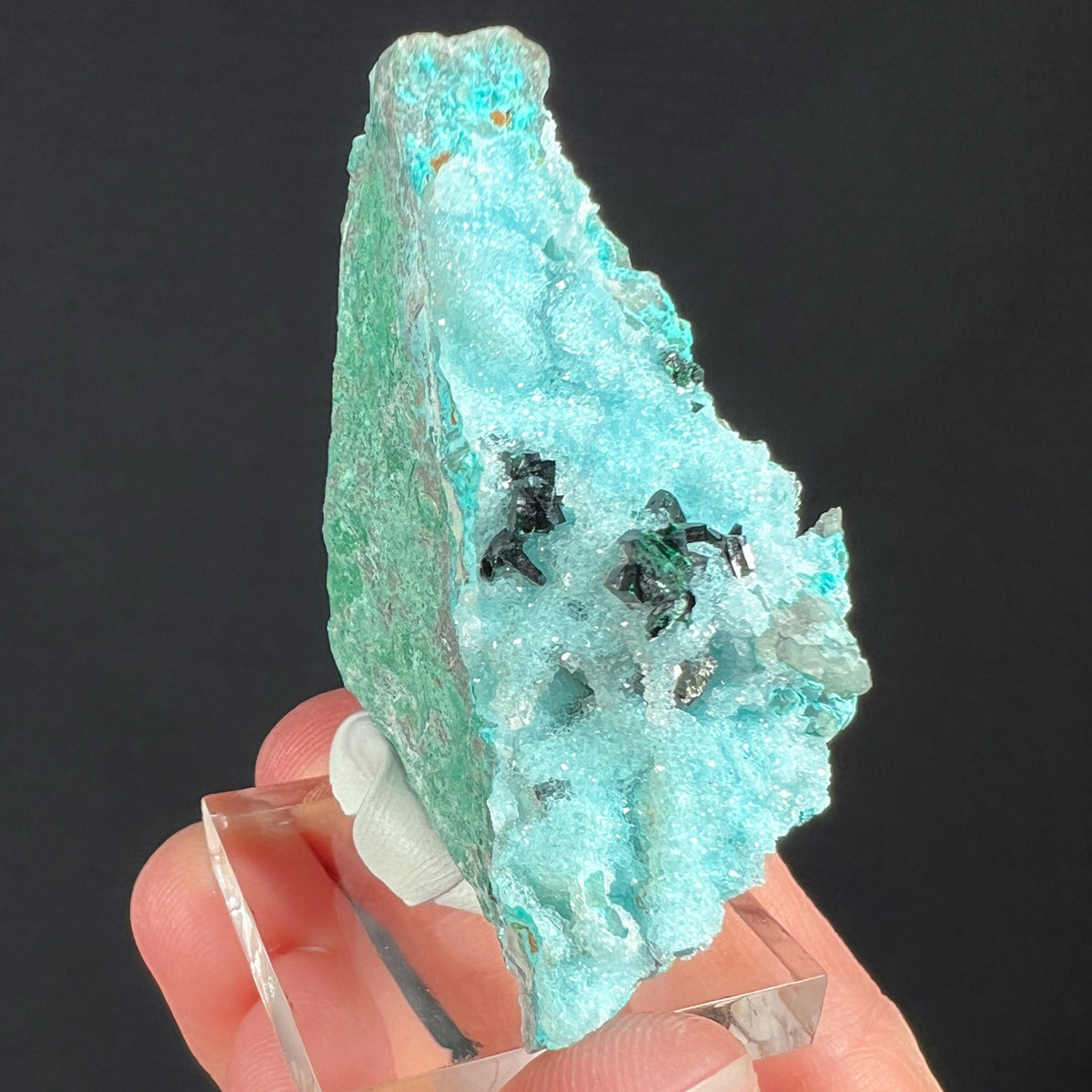 Drusy Quartz on Chrysocolla with Malachite Crystals