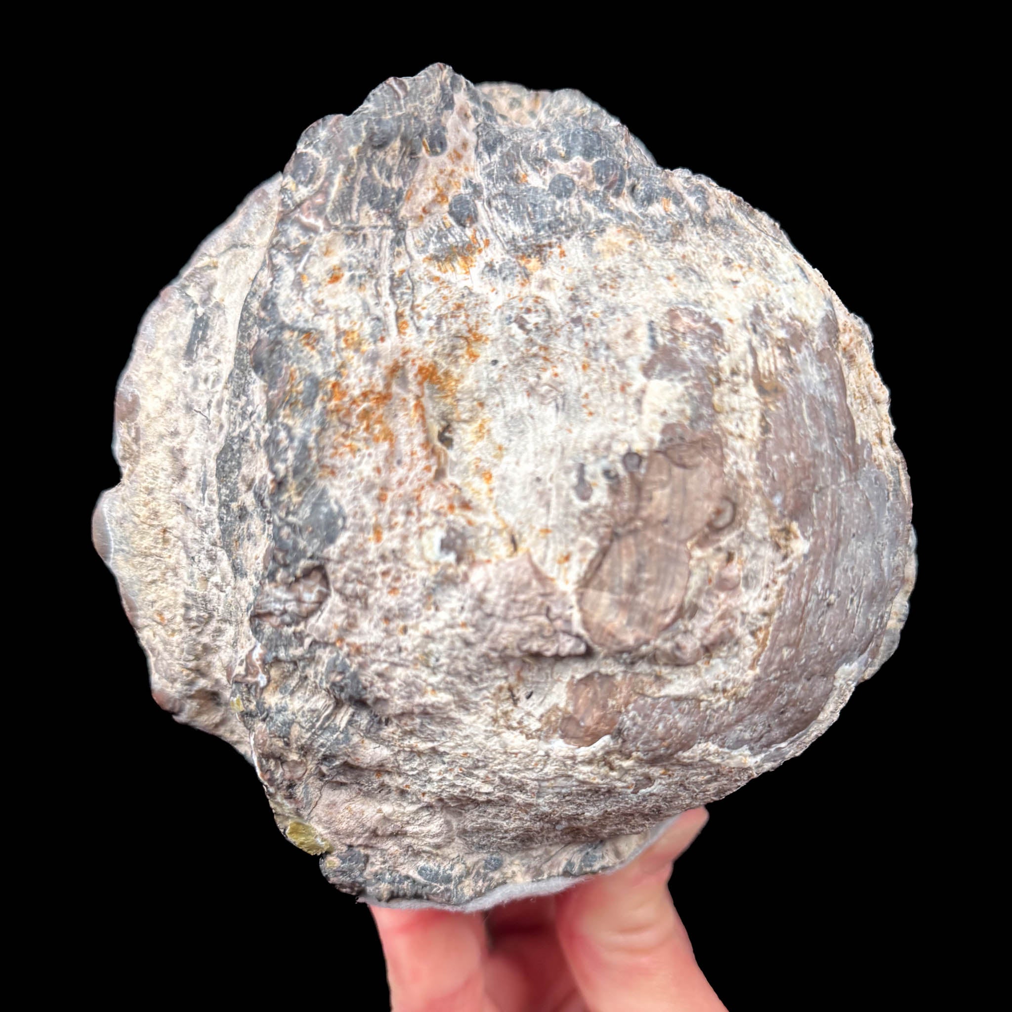 Side view exterior of Dugway Geode from Utah