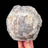 Exterior of Dugway Geode from Utah