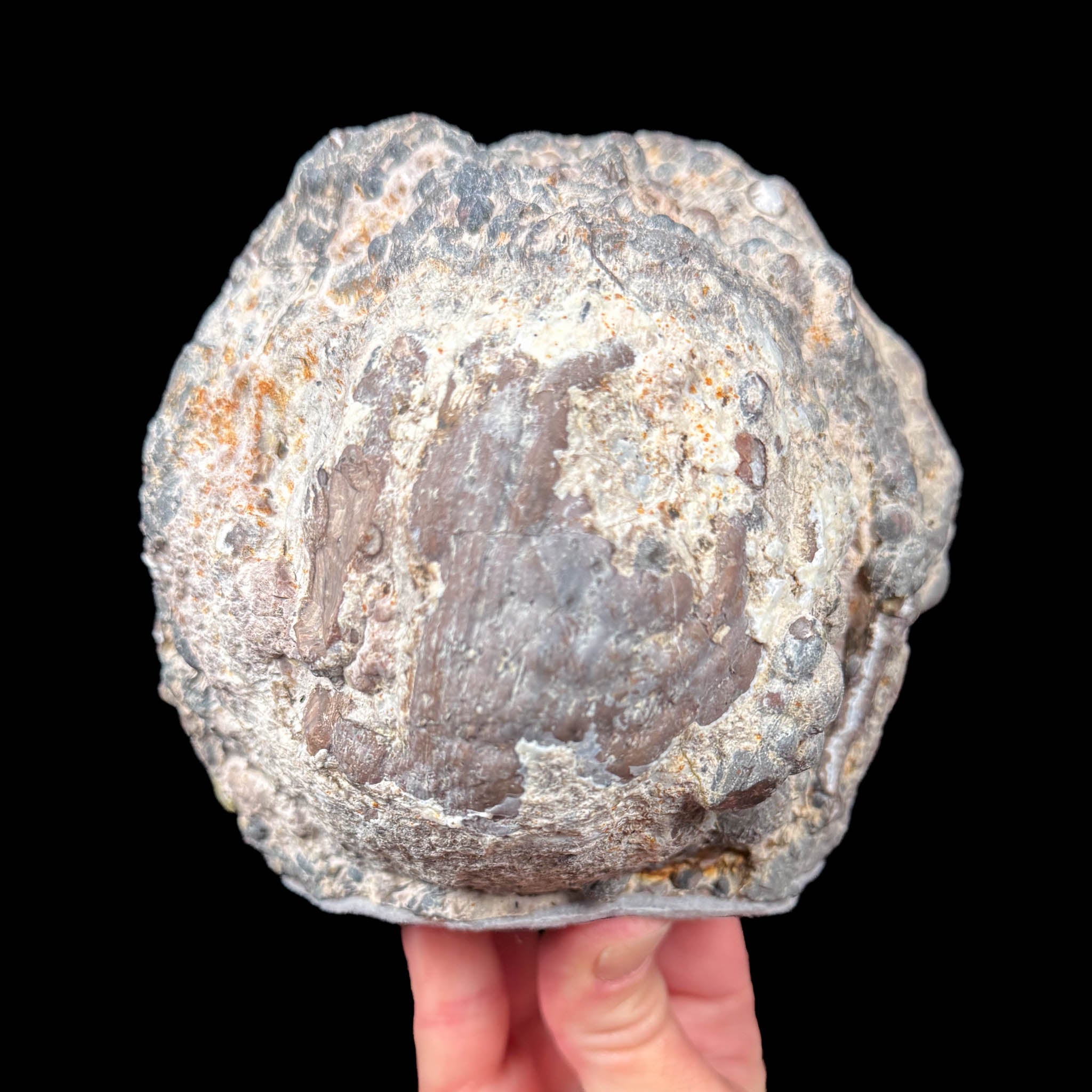 Exterior of Dugway Geode from Utah