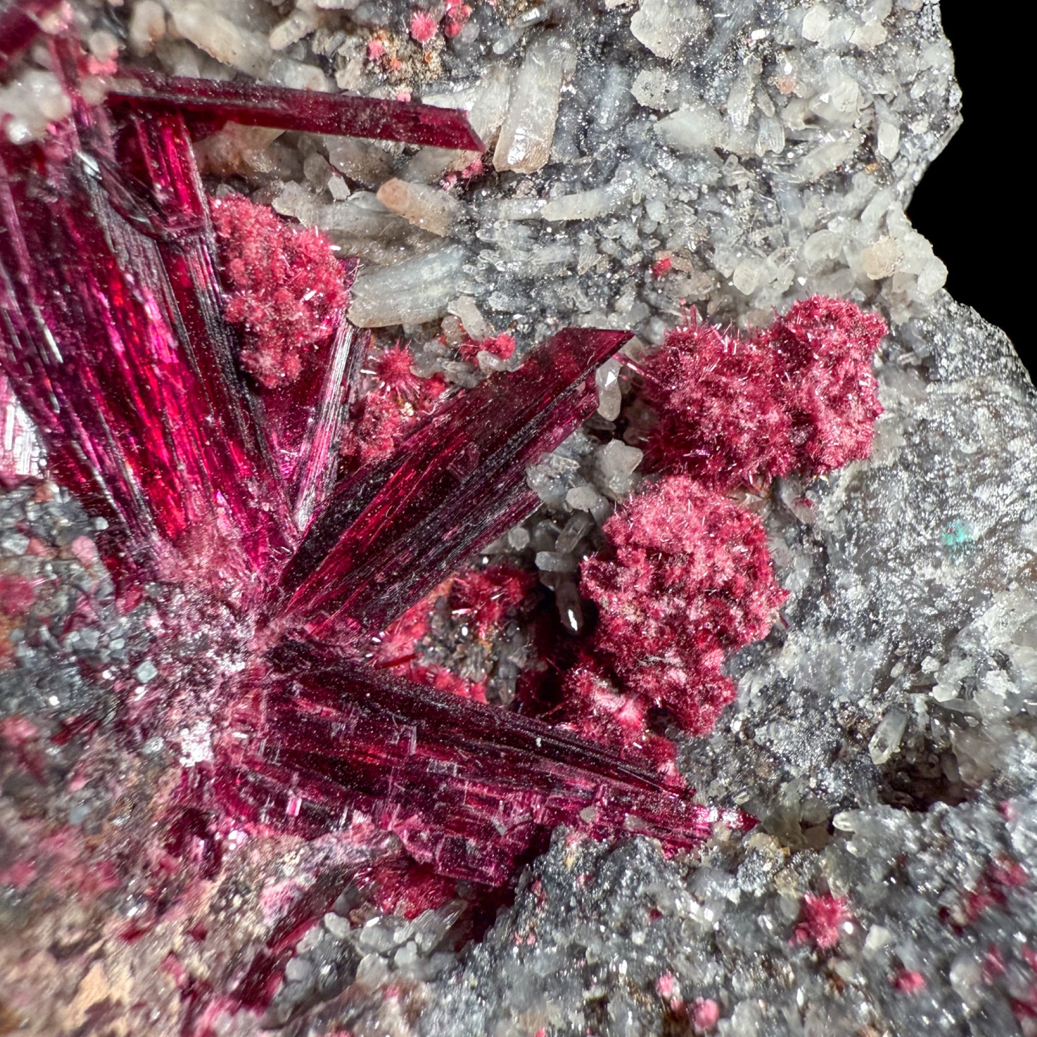 Close up of red and pink Erythrite crystals 