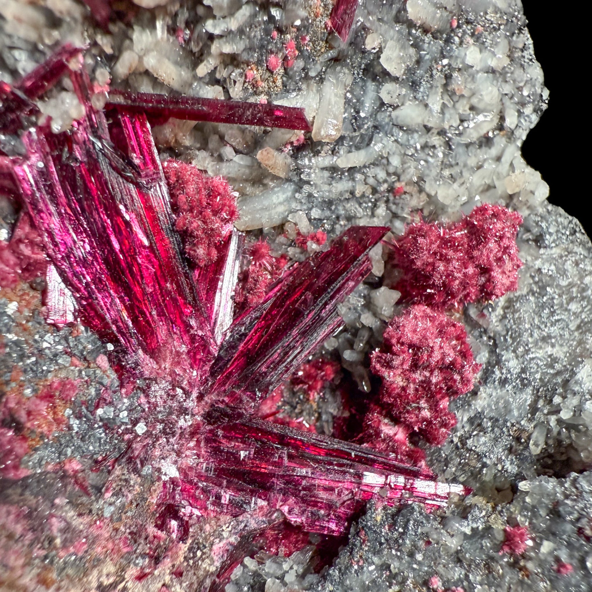 Close up of magenta colored Erythrite crystals