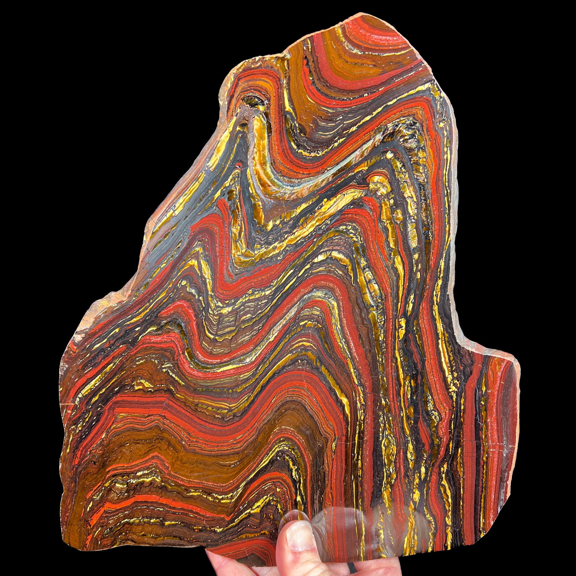 Extra Large Banded Tiger Iron Slab from Australia