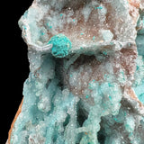 Extra Large Chrysocolla with Quartz