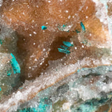 Extra Large Chrysocolla with Quartz