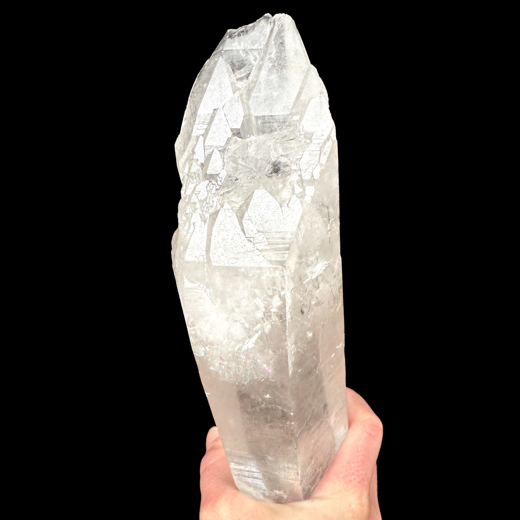 Extra Large DT Crystal of Quartz