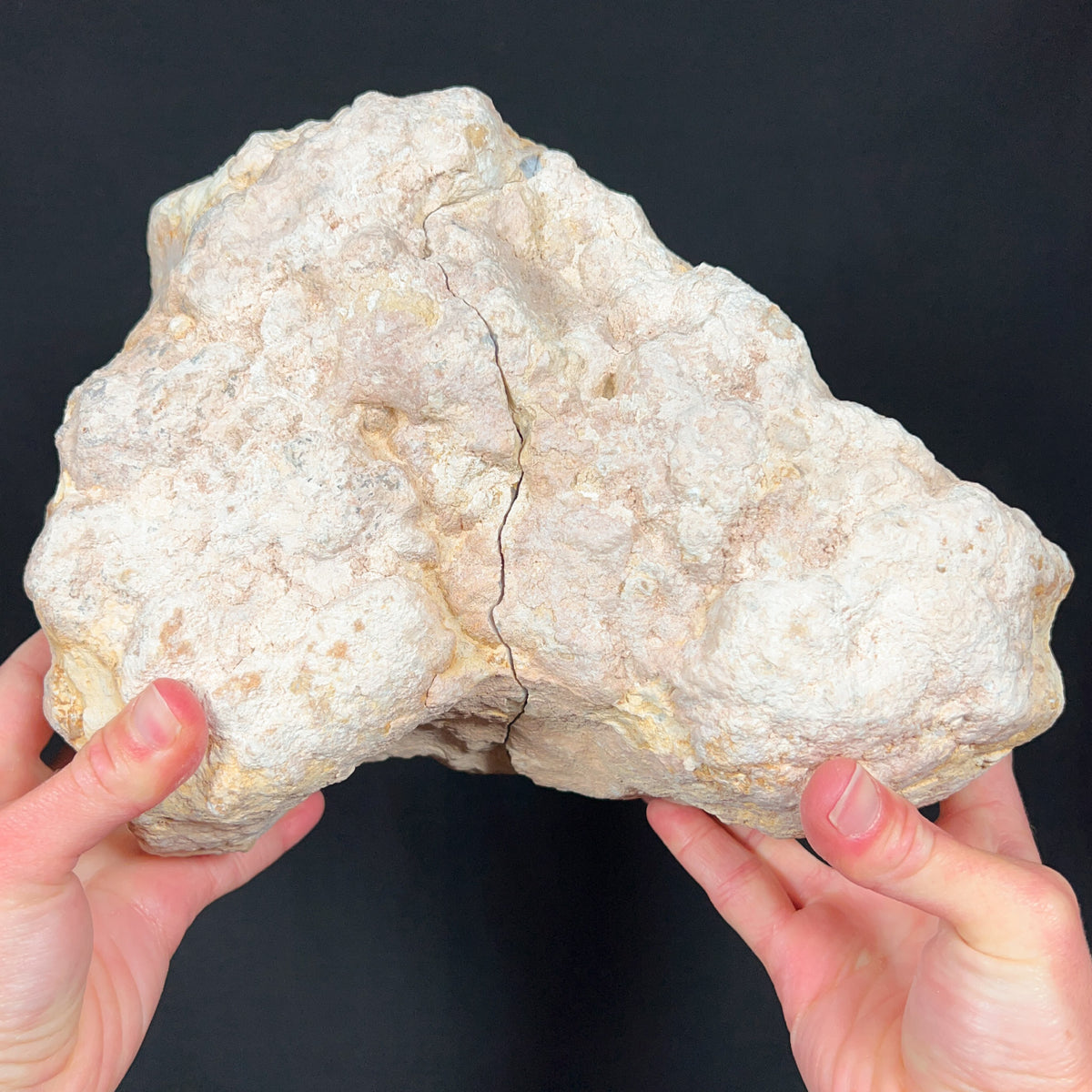 Raw Quartz Geode Pair