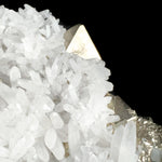Close up of Pyrite Octahedron surrounded by Quartz crystals