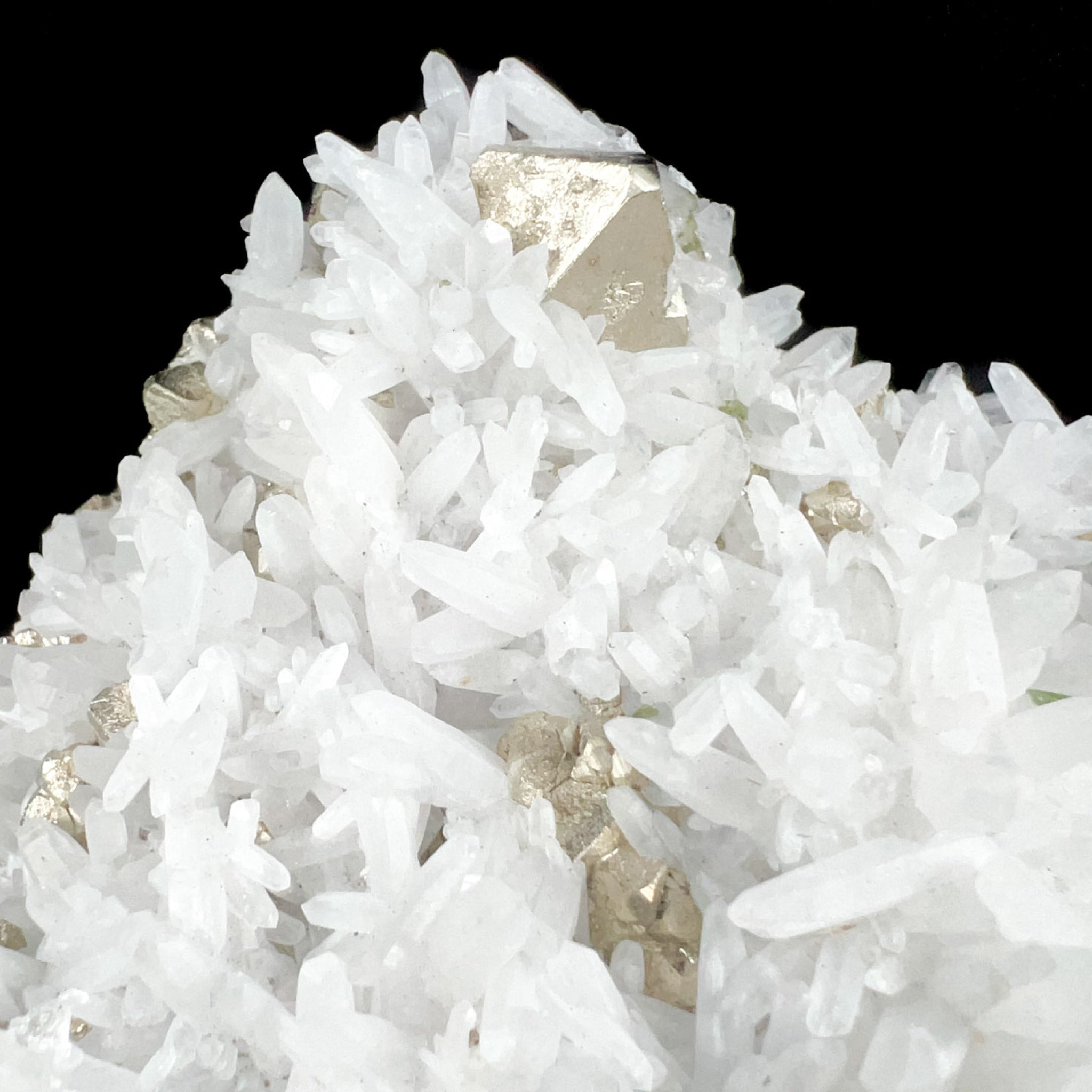 Close up of white Quartz crystals and golden Pyrite crystals