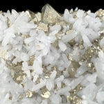 Close up of Octahedral Pyrite crystals in Quartz