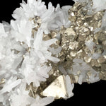 Close up of white Quartz crystals with golden Pyrite crystals from Peru