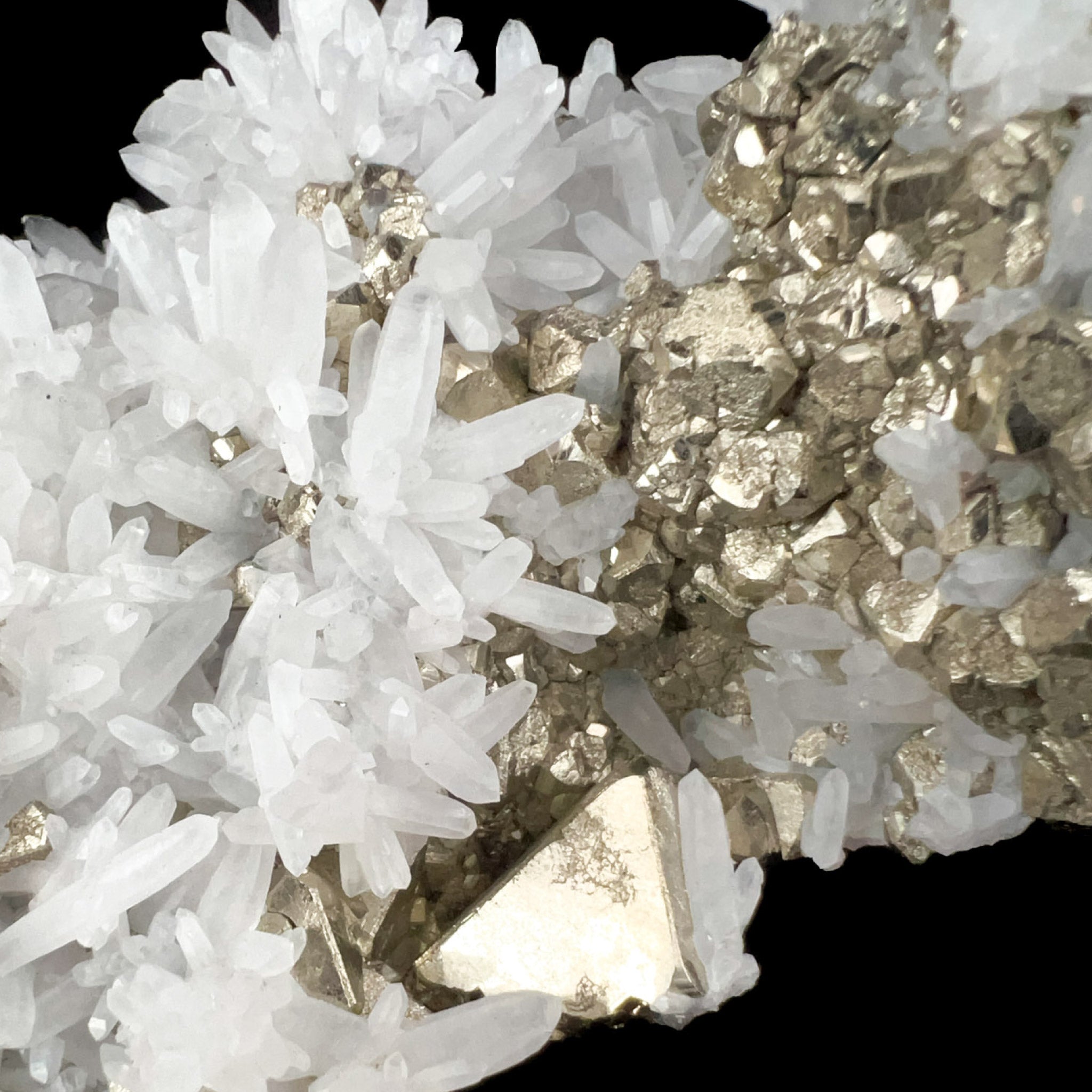 Close up of white Quartz crystals with golden Pyrite crystals from Peru