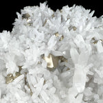 Close up of Pyrite surrounded by Quartz