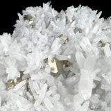Close up of Pyrite surrounded by Quartz