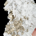 Close up of Pyrite octahedron with White Quartz crystals