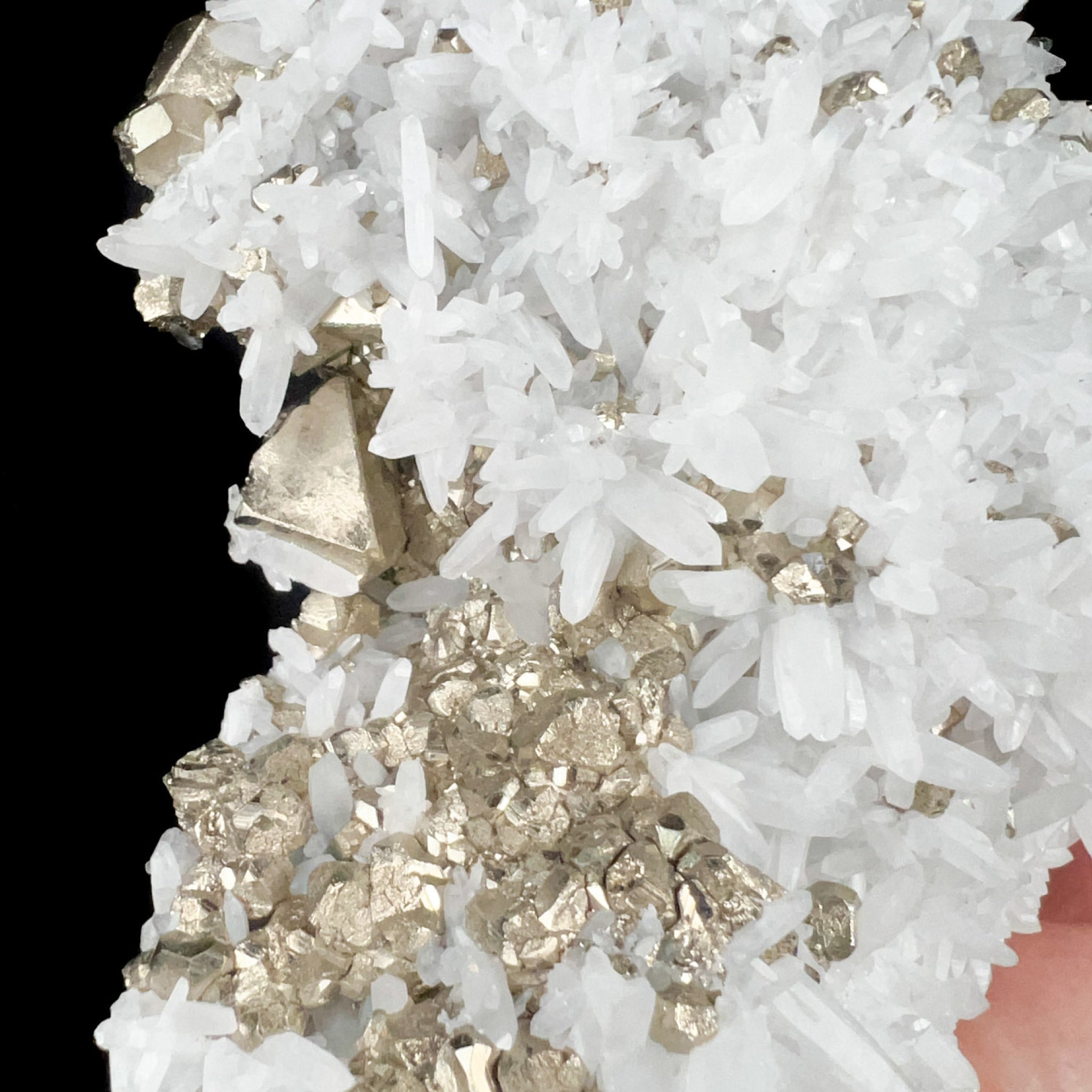 Close up of Pyrite octahedron with White Quartz crystals