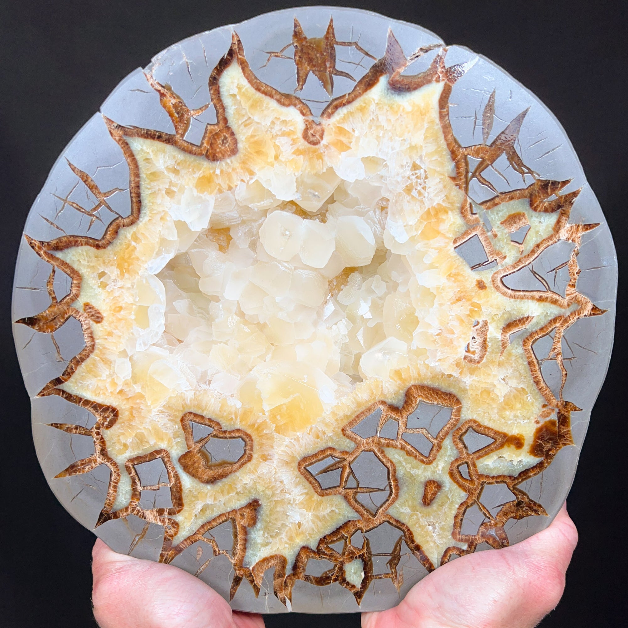 Extra Large Septarian Concretion Slab