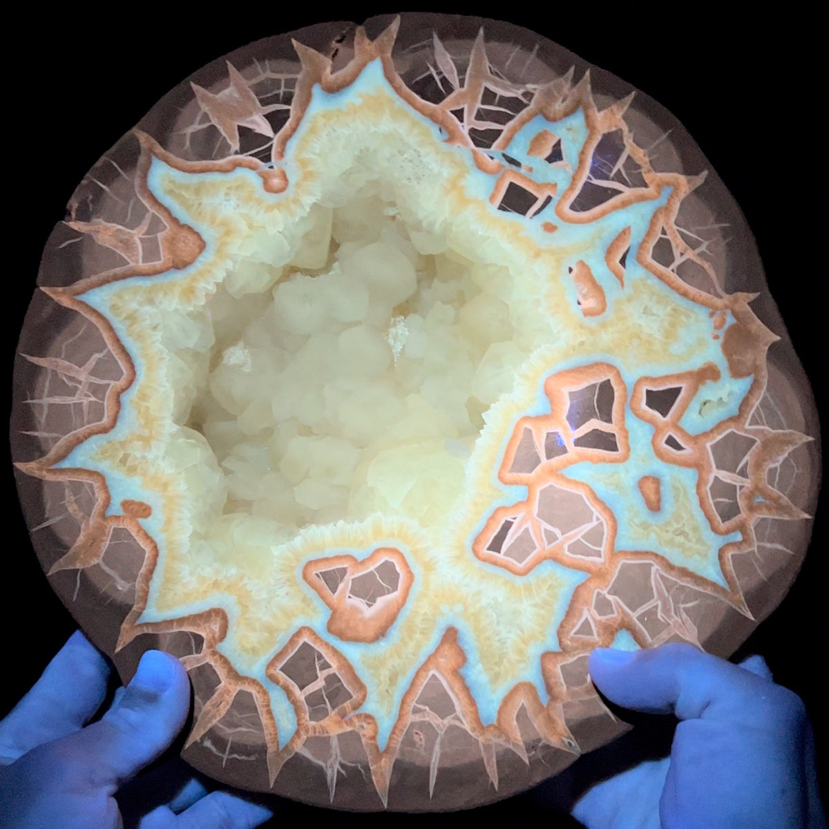 Extra Large Septarian Concretion Slab Under UV Fluorescence