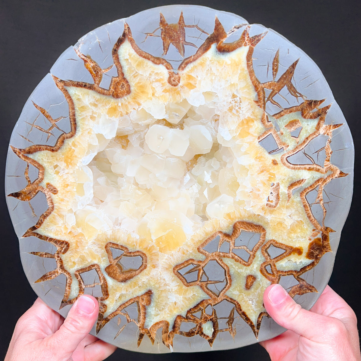 Extra Large Septarian Concretion with Calcite Crystals Slab