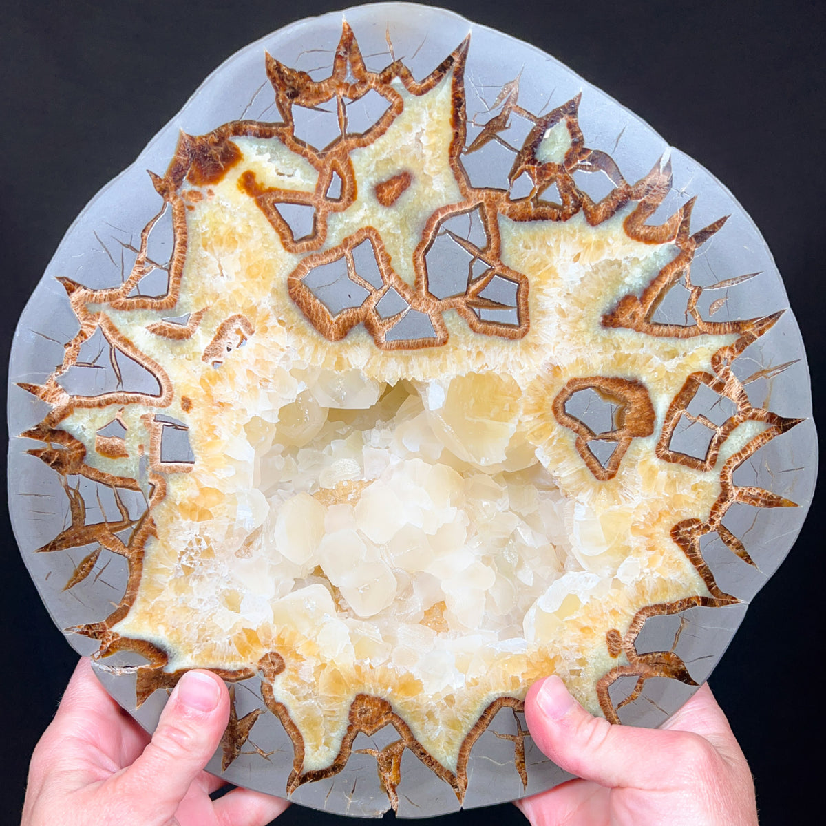 Extra Large Septarian Concretion Slab from Utah