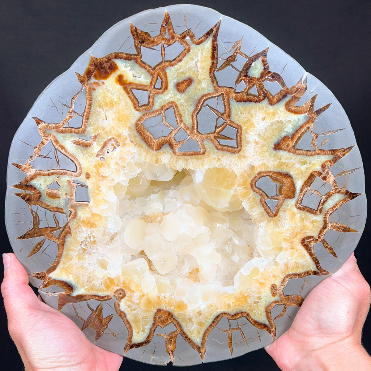 Golden Calcite Septarian Concretion Slab