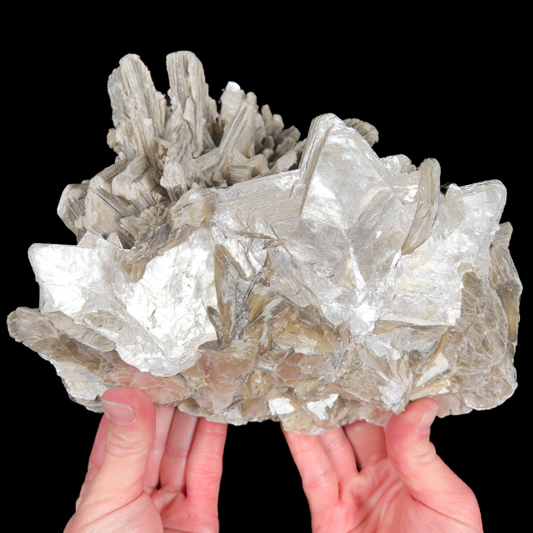 Extra Large Star Muscovite Crystal Cluster from Brazil