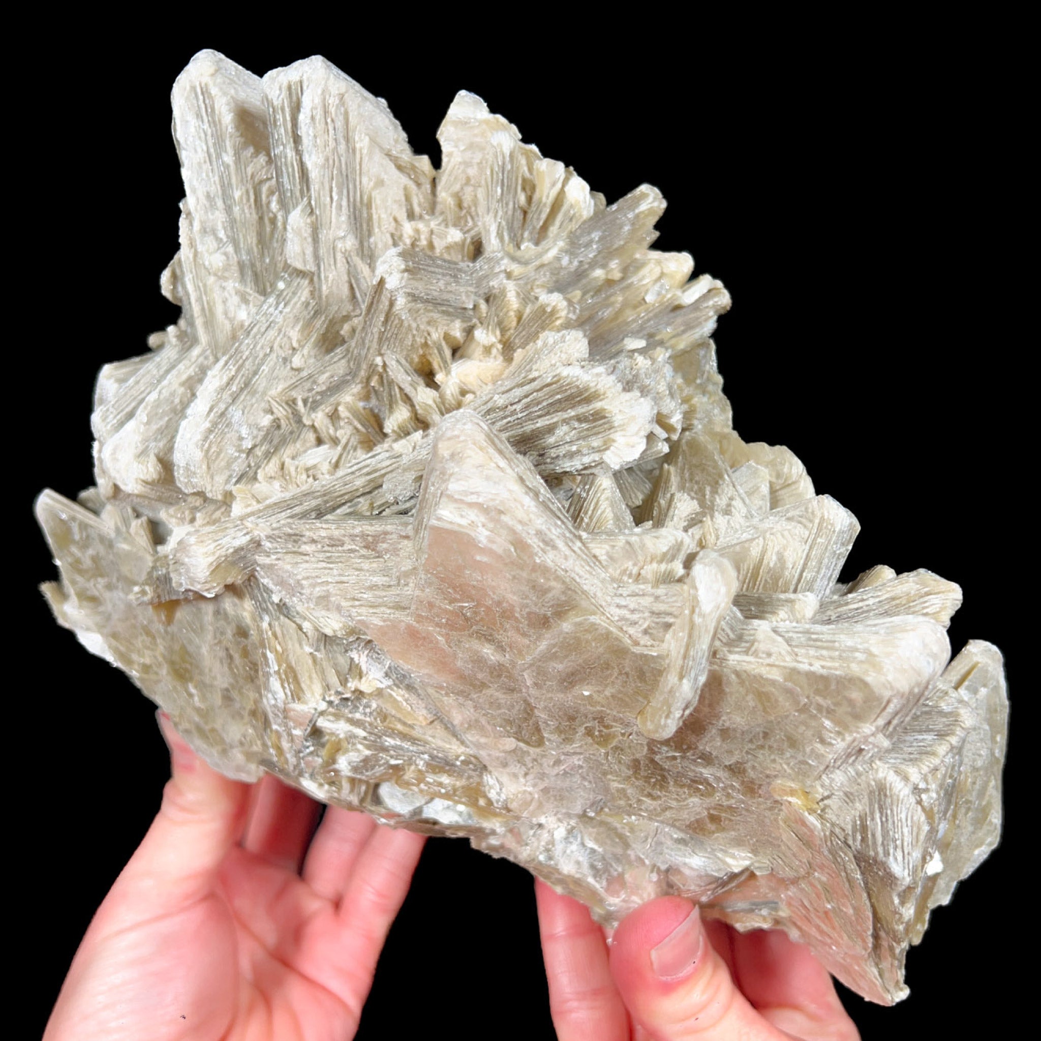 Star-shaped crystals of Muscovite Mica