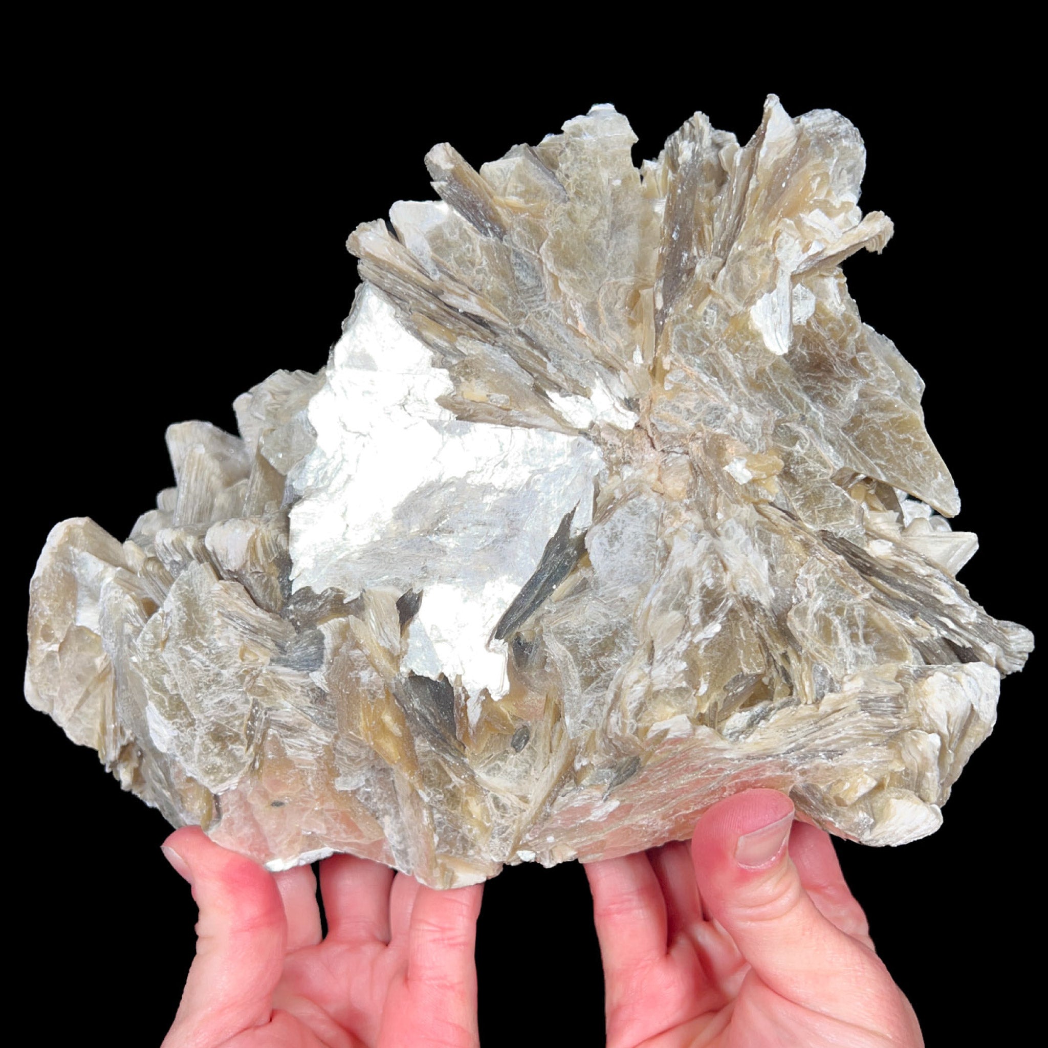 Reverse side of Star Muscovite mica mineral specimen
