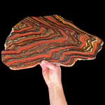 Extra Large Tiger Iron Slice