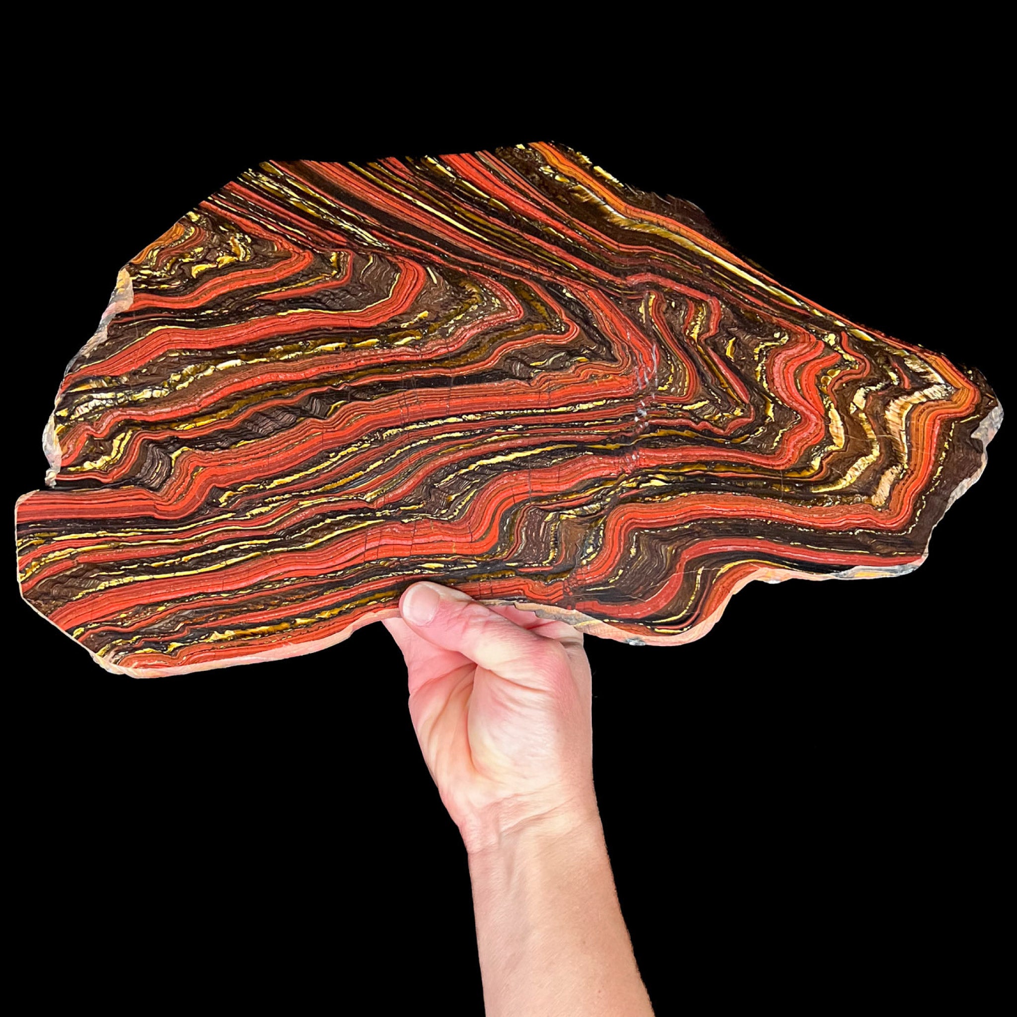 Extra Large Tiger Iron Slice