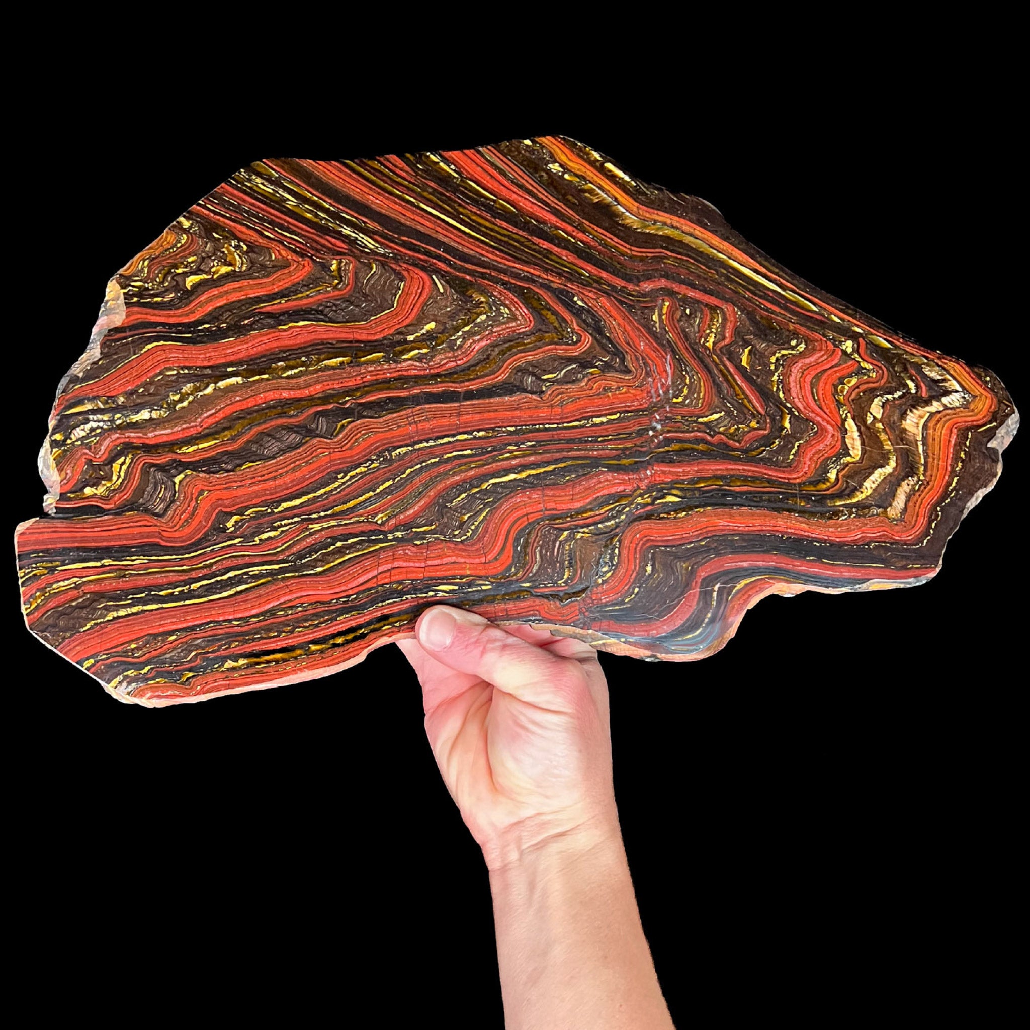 Extra Large Stone Slice of Tiger Iron
