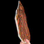 Side View of Tiger Iron Slice