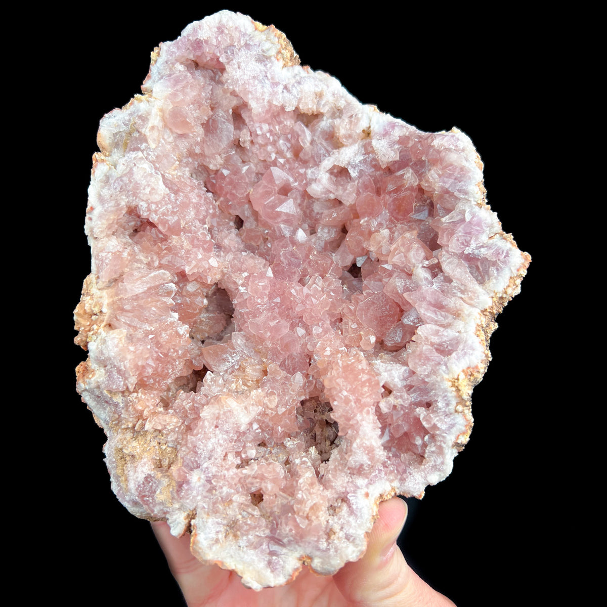 Extra Large Pink and Purple Amethyst Geode from Argentina