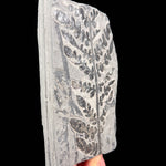 Side view of fossilized fern from France