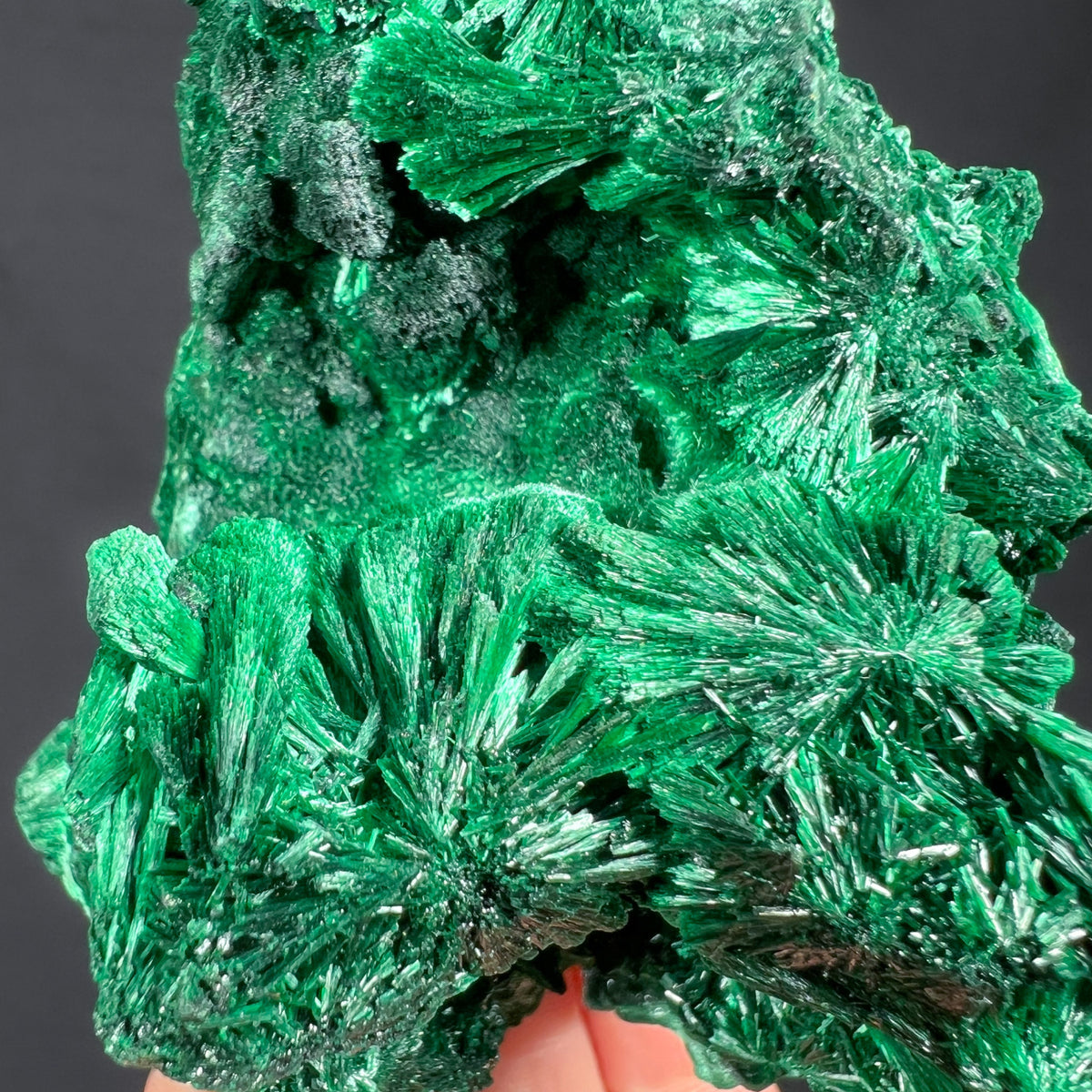 Radiating Green Malachite Crystals