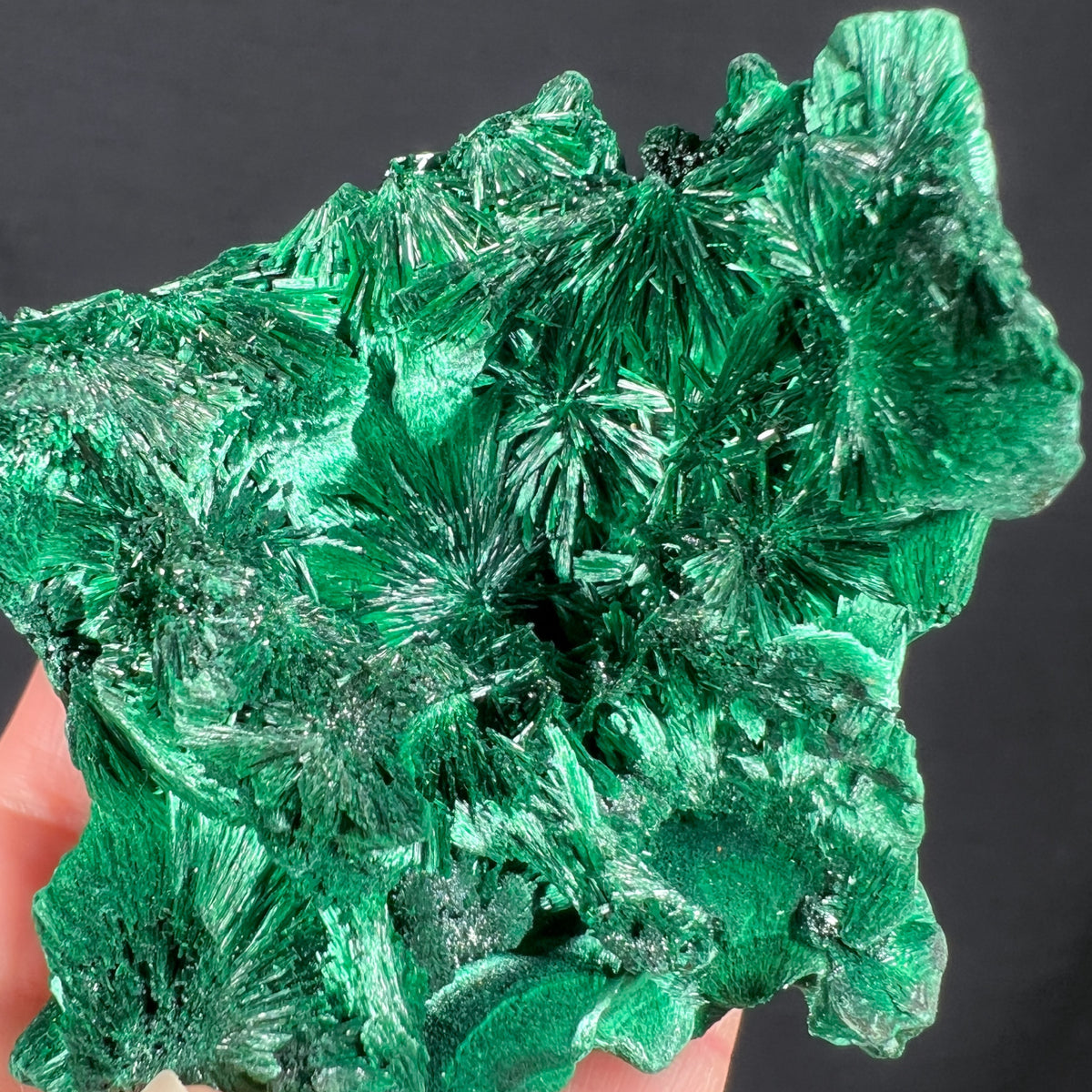 Radiating Fibrous Green Malachite Crystals