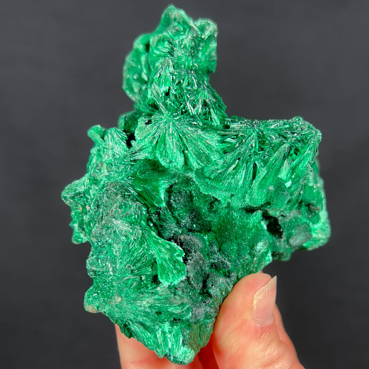 Green Fibrous Malachite Mineral Specimen Raw