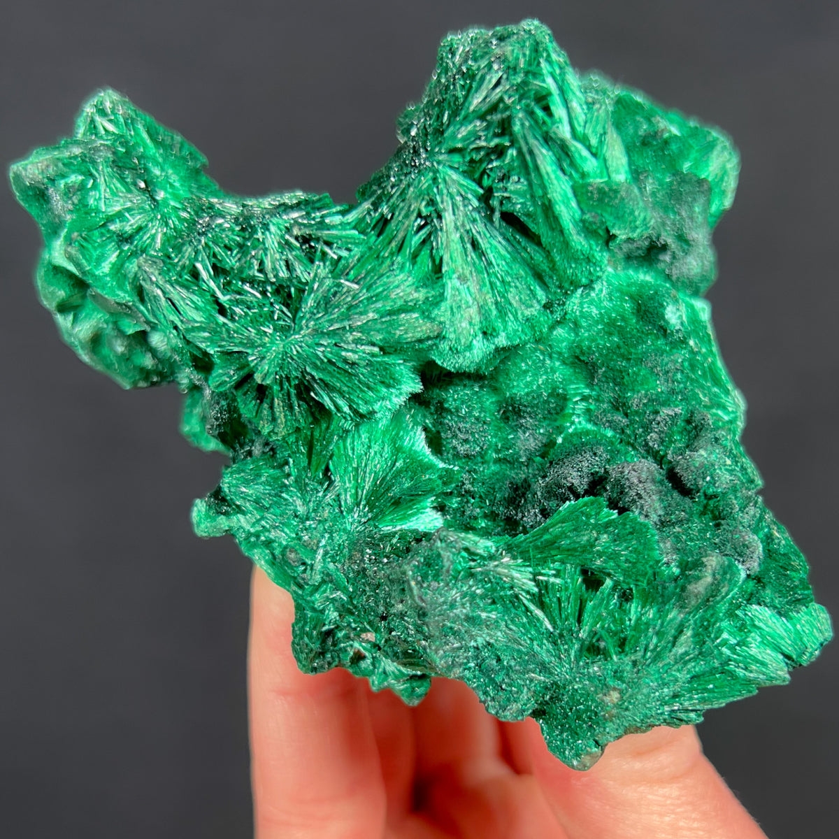 Velvety Green Malachite Crystal Specimen