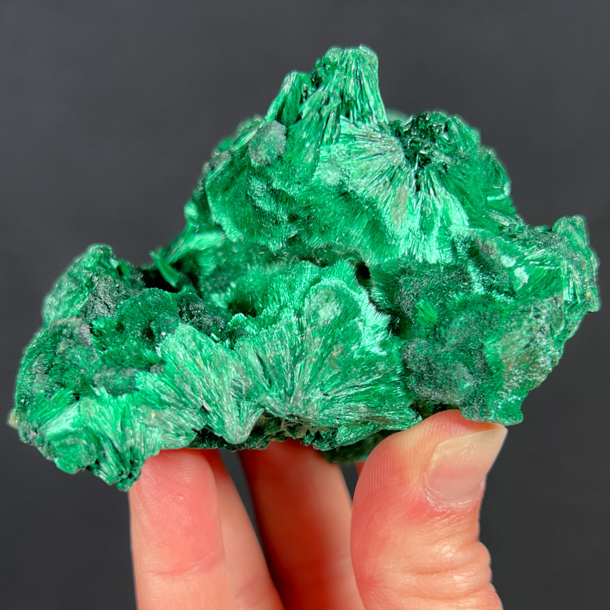 Fibrous Malachite Crystals from the Congo