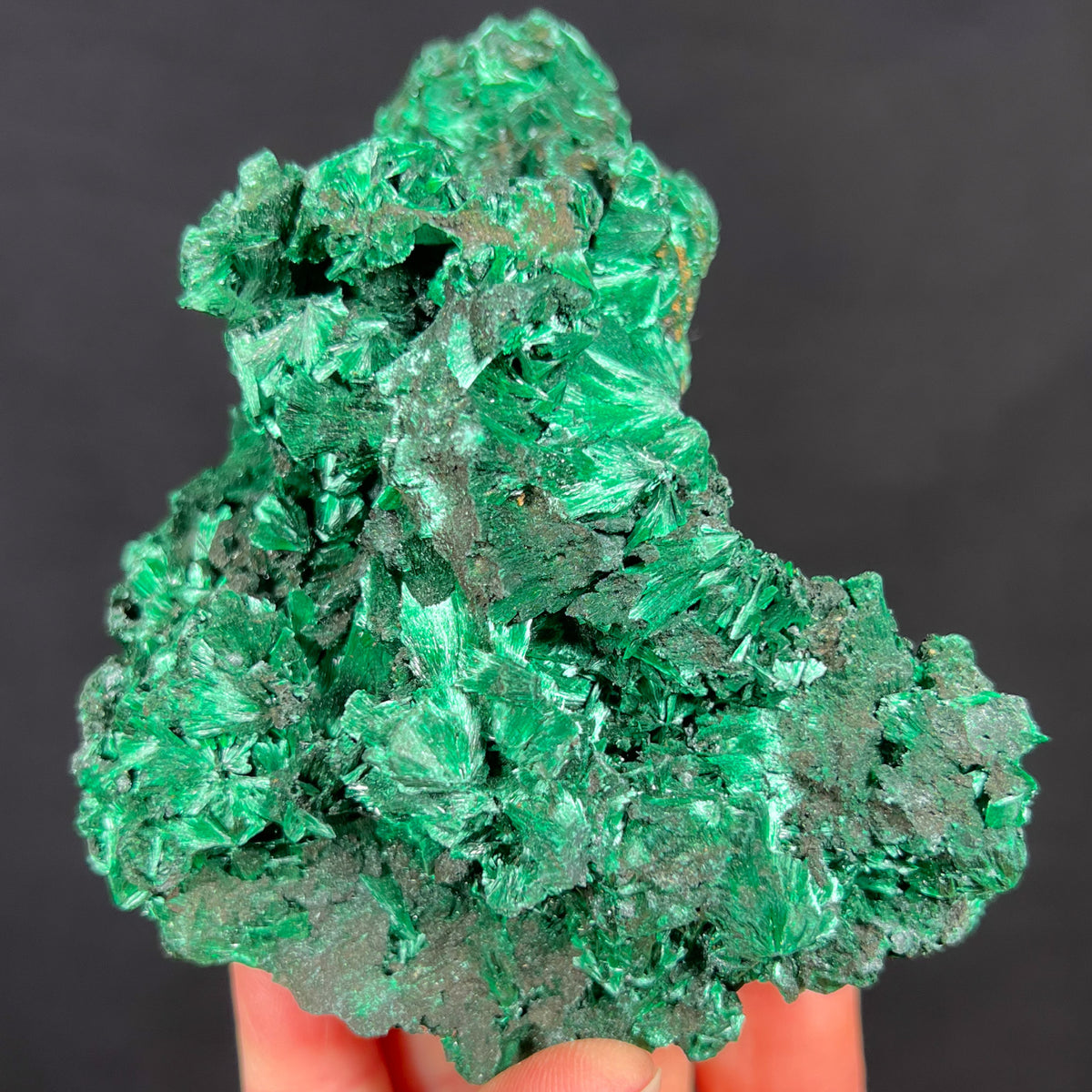 Fibrous Malachite Mineral Specimen